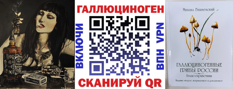 Псилоцибиновые грибы Cubensis  как найти   Торопец 